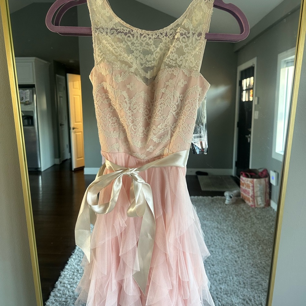 Macy's Pink and Cream Lace Mini Dress